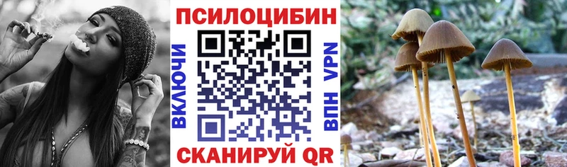 Купить закладки  Неман  Псилоцибиновые грибы Cubensis 
